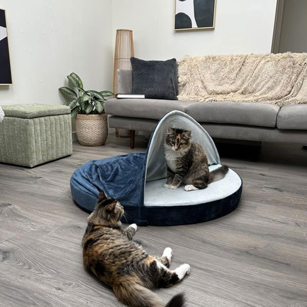 Two grey and black cats sitting in a blue snuggery burrow bed at FurHaven Pet Products.