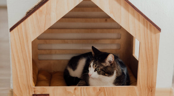 A brown, black, gray and white cat sitting in side a padded wooden Cat House, from FurHaven Pet Products