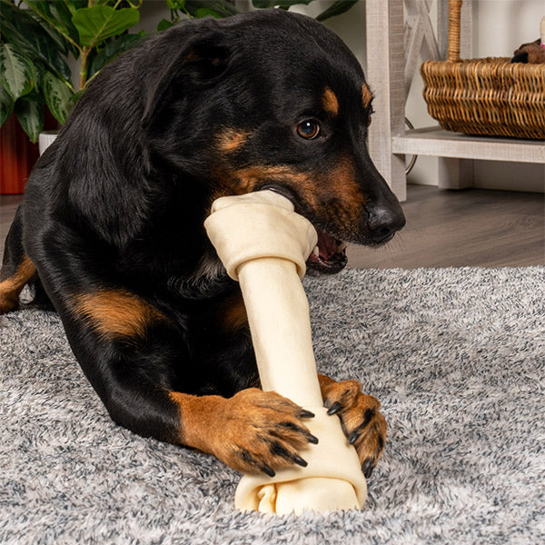 A black and brown spotted dog using a Pet Factory beefhide chew, lying on top o f a gray rug and hardwood floor, at FurHaven Pet Products