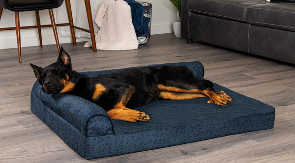 A black and brown dog resting it's head and sleeping on a blue spotted FurHaven Deluxe Chaise Lounge Bed