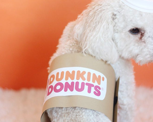 A small, white dog wearing a Dunkin Donuts coffee costume in front of an orange background at FurHaven Pet Products