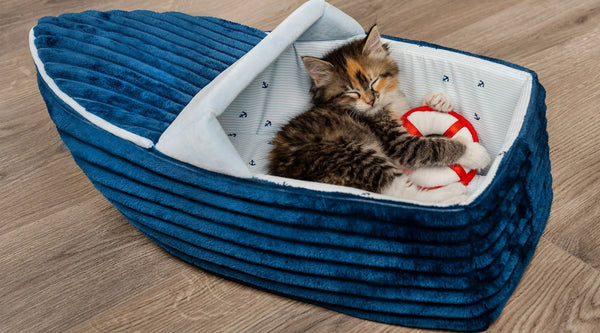 A small brown dappled kitten sleeping in a blue FurHaven Dreamer Corduroy Pet Bed.