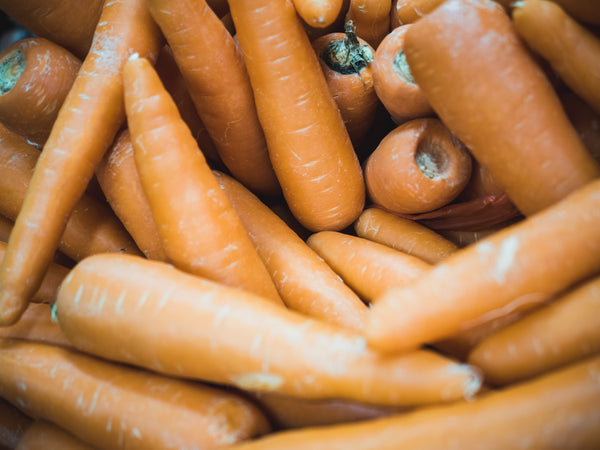 A pile of orange carrots for dogs at FurHaven Pet Products