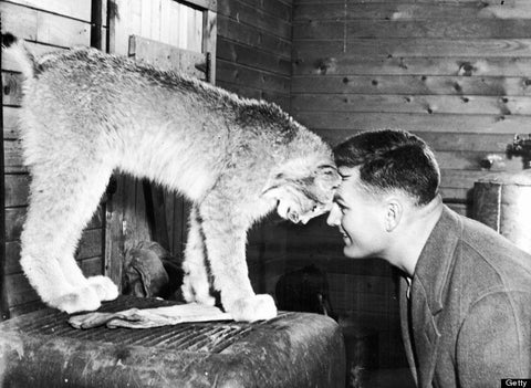 A human and a Lynx enjoying a moment together in an old black and white photograph, from FurHaven Pet Products