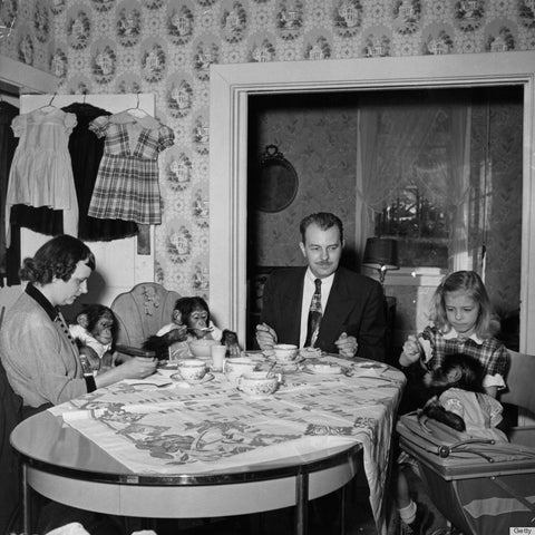 A photo of an old family enjoying a meal with three chimpanzees present, from FurHaven Pet Products