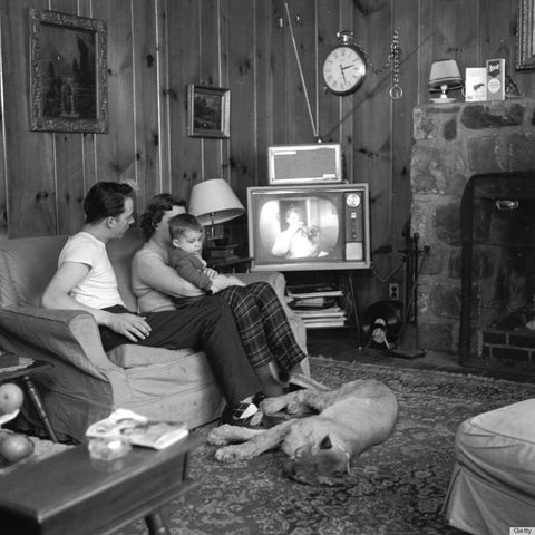 A family watching an old television set with a Puma at their feet in a black and white photo, from FurHaven Pet Products