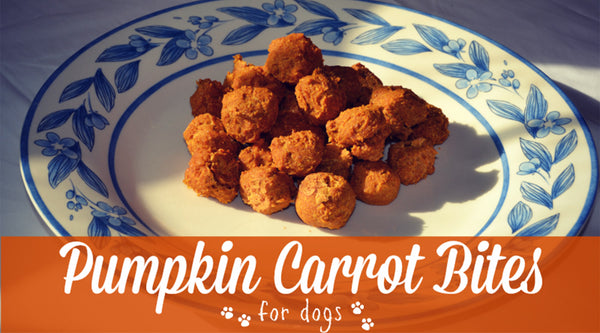 Pumpkin Carrot Bites, from www.mypawsitivelypets.com at FurHaven Pet Products