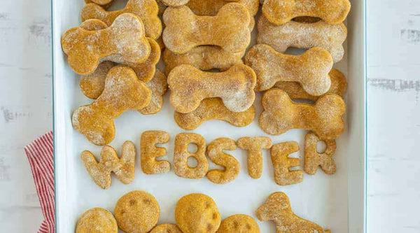 Pumpkin Treats, from blessthismessplease.com at FurHaven Pet Products