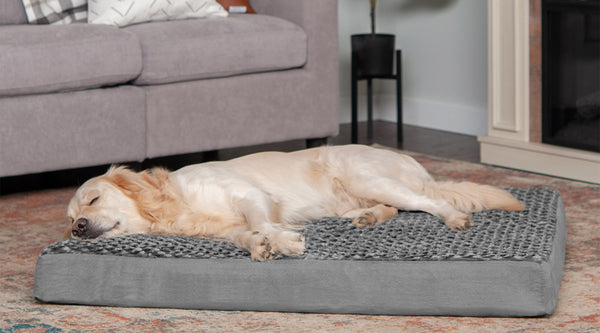 A golden retriever sleeping on a FurHaven Deluxe Mattress Ultra Plus Bed, on top of red rug in a living room.