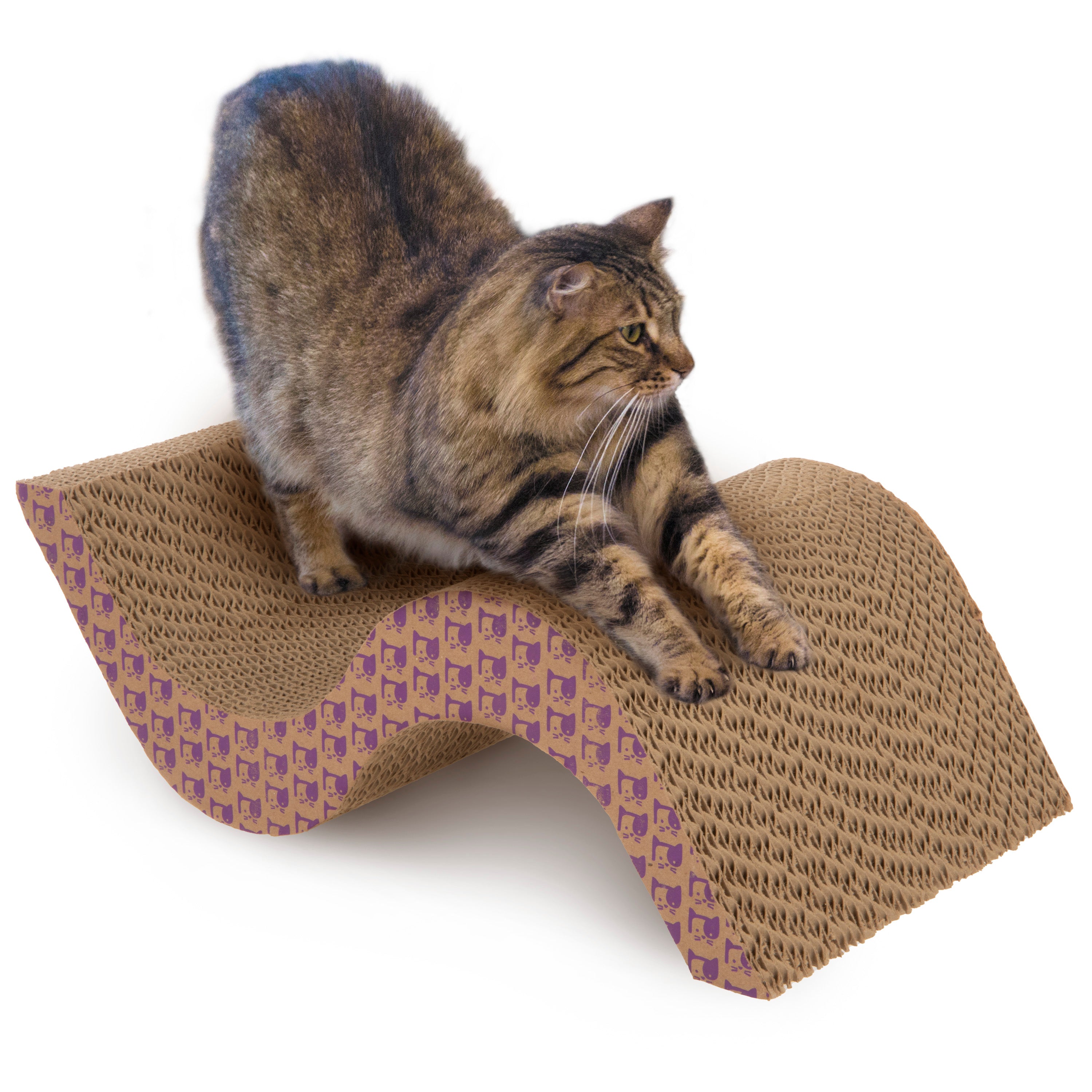 Petlinks Petlinks Purr-Fect Paws Cat Litter Mat - Gray - Large