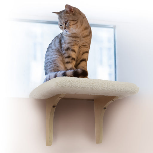 Sherpa Soft Carrier – Brooklyn Cat Cafe