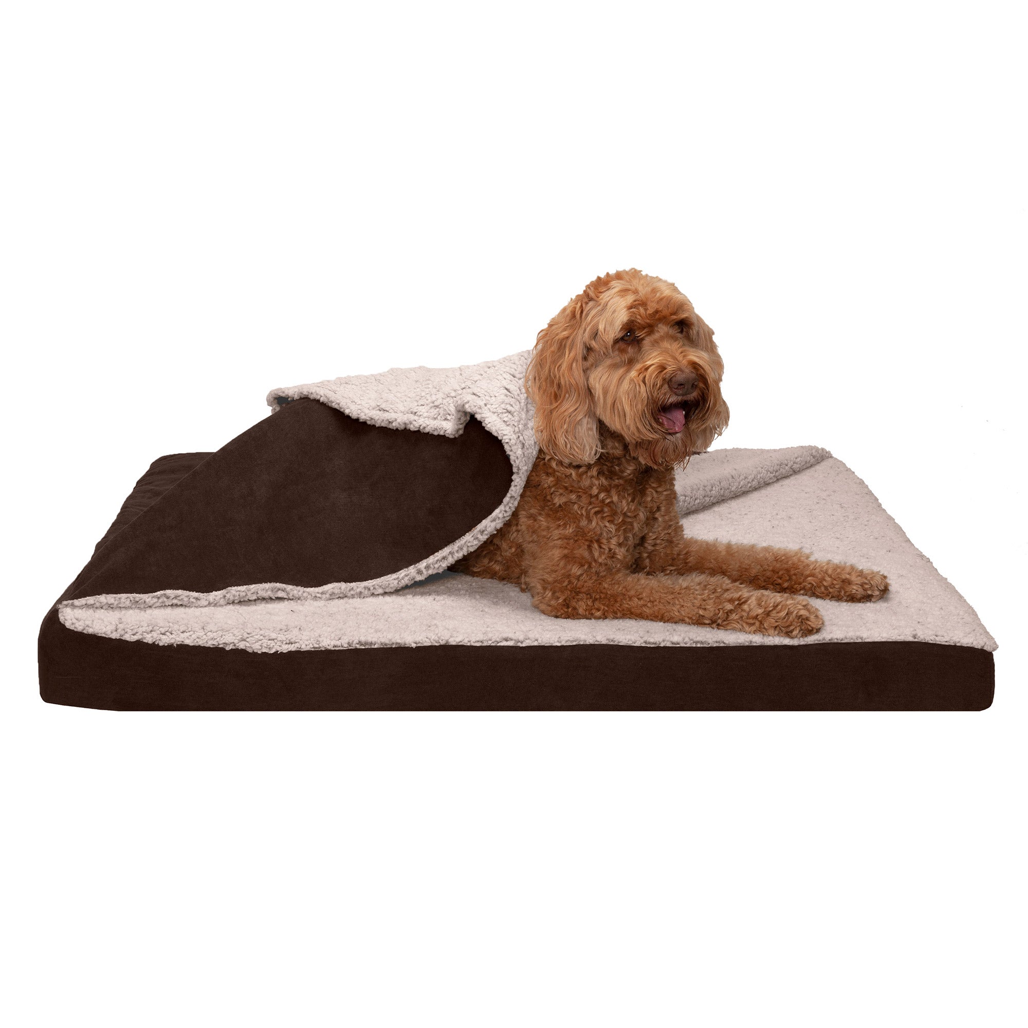 魅力の ASYストアFurhaven Memory Foam Pet Bed for Dogs and Cats Classic Cushion  Ultra Plus
