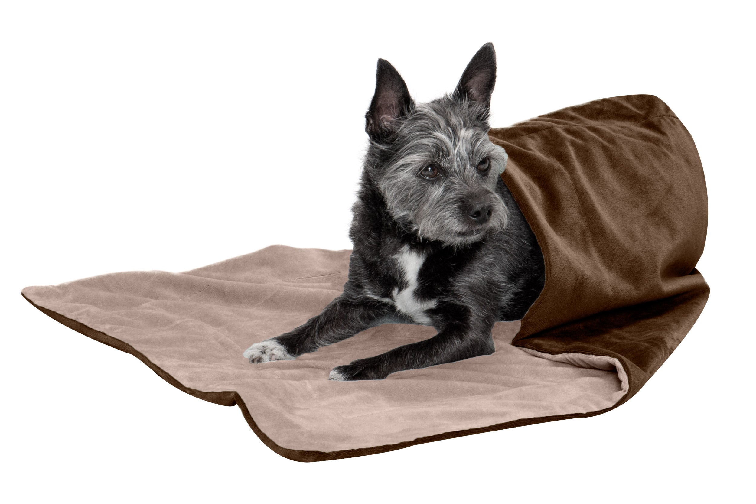 Waterproof Velvet Pet Throw Blanket-image-10