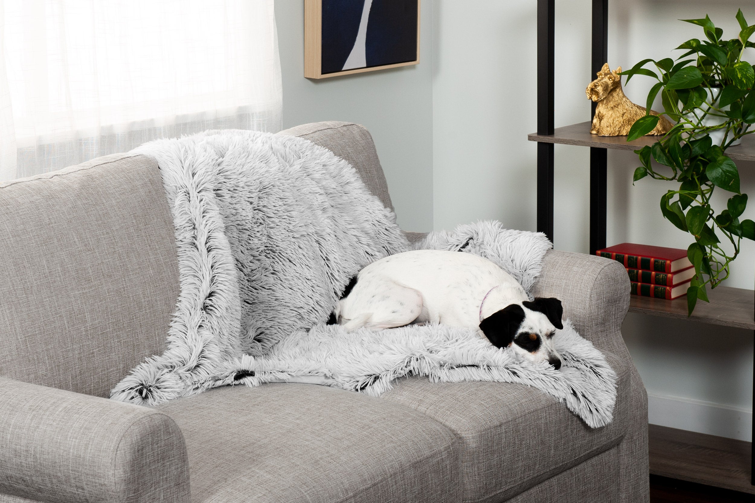 Waterproof Pet Throw Blanket - Long Fur & Velvet-image-6