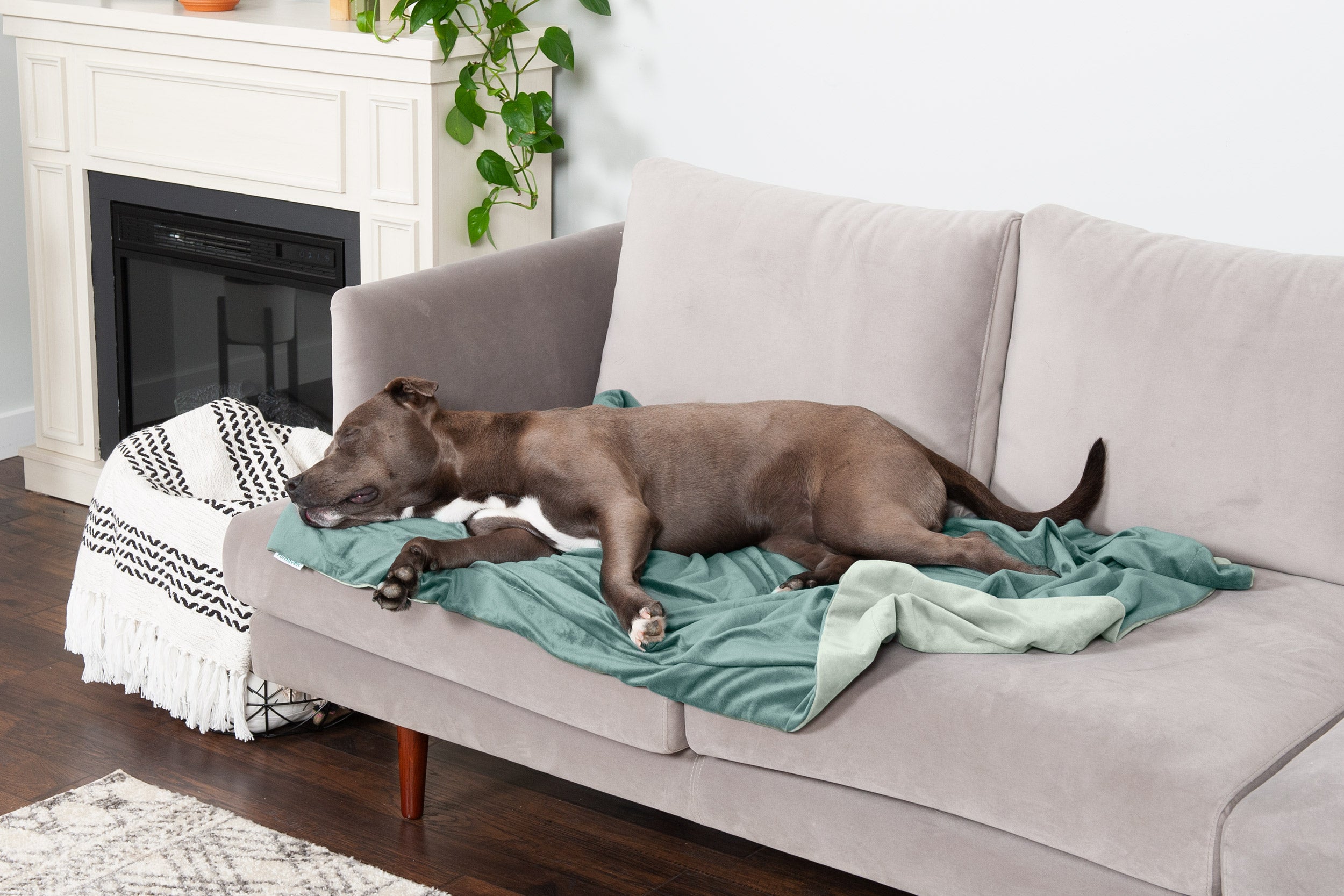 Wovilon Bedspreads Sofa Cover Stretch Sofa Cover, Sofa Fabric Furniture  Cover, High Stretch Sofa Cover Pet Dog Friendly Non-Slip, Oversized Elastic