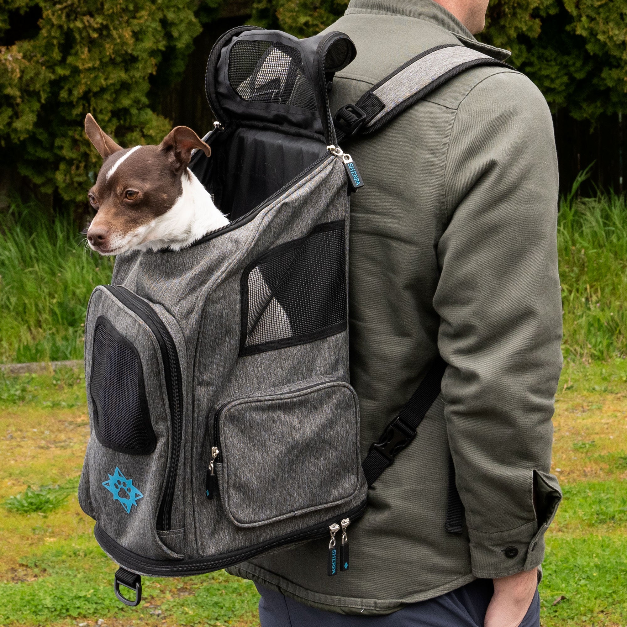  Top tasta Cat Backpack Carrier,Carrying Bag Airline  Approved,Ventilated Window Mesh Design,Collapsible & Breathable Shoulder  Backpack for Small Cats and Dogs Under 25 Lbs (Grey) : Pet Supplies