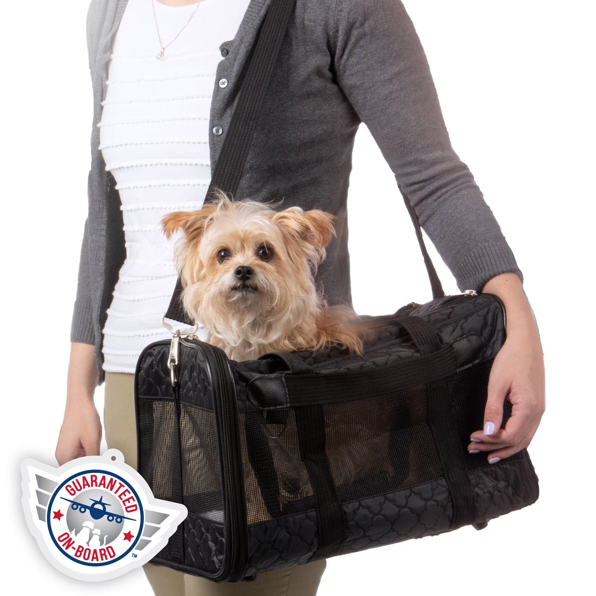 BETOP HOUSE Pet Carrier Tote Around Town Pet Carrier
