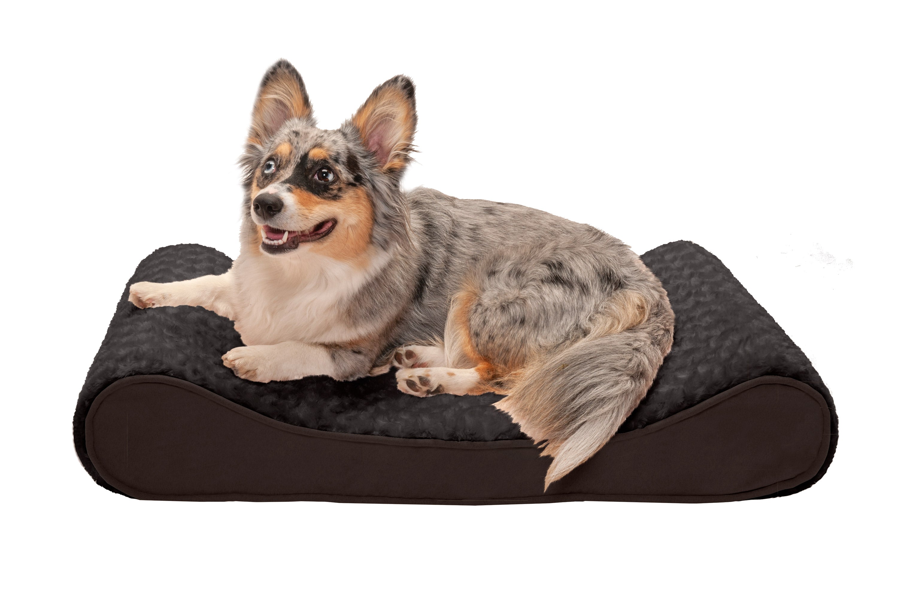 furhaven plush sofa pet bed bundle