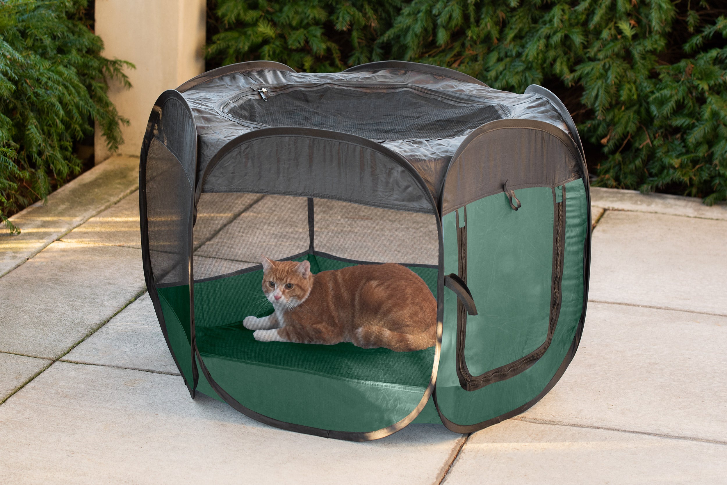 https://cdn.shopify.com/s/files/1/0533/5259/5632/products/87243434_Furhaven_Playpen_SM_Hunter_Green_Lifestyle_Cat2_2500x1667.jpg?v=1626119166