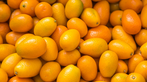 nagami kumquat