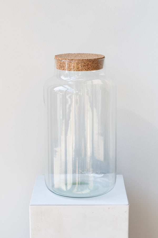 Mason Jar - 20L Clear – Sprout Home