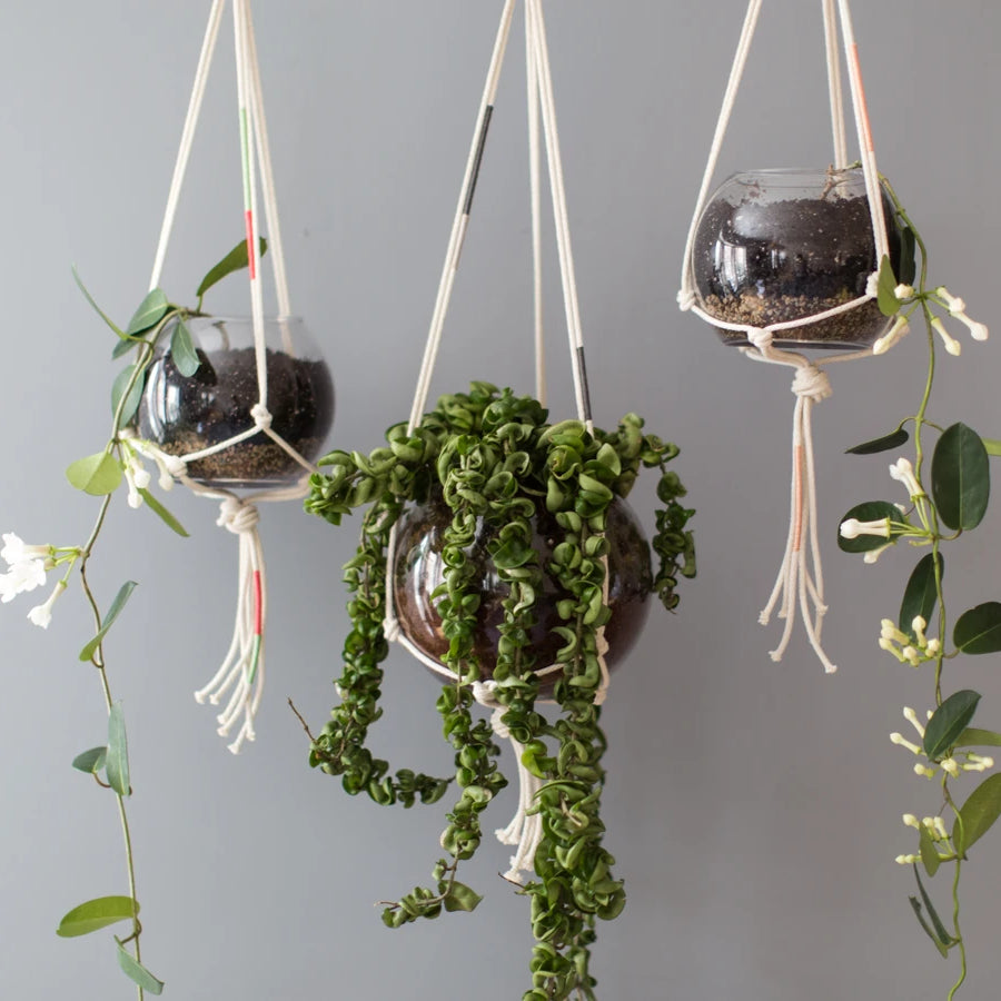 Three glass round planters with braided macrame hangers