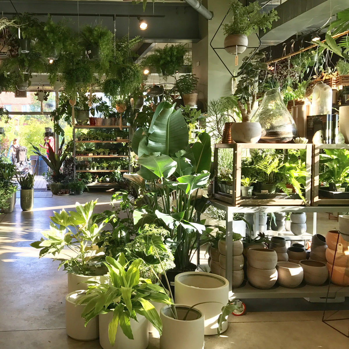 Interior of Sprout Home's garden store
