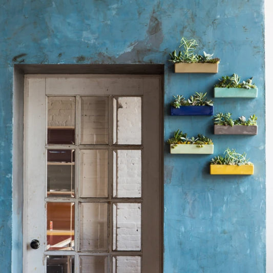 Aqua blue wall with glass paned door and multiple rectangular ceramic wall planters filled with succulents.