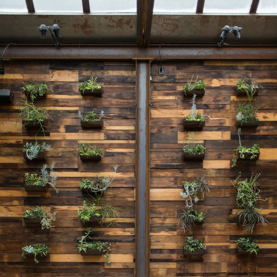 Dark wood wall with four rows of rectangular wall planters.
