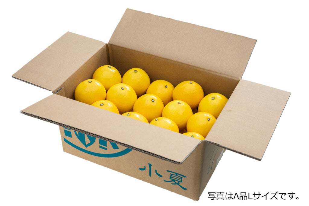 黄金柑 B品 3kg – 岡宗農園メリーガーデン オンラインストア