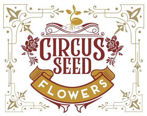 Circus Seed Flowers