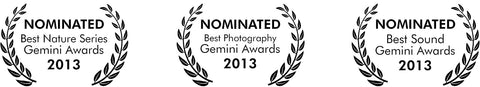 Gemini Awards