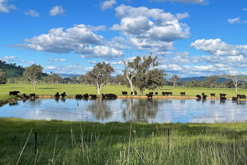 Southern ranges