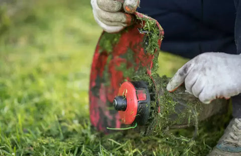 cleaning a whipper snipper