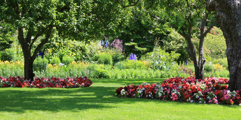 Garden trimmed by a whipper snipper