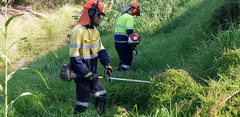 Snippers wearing PPE while using whipper snipper