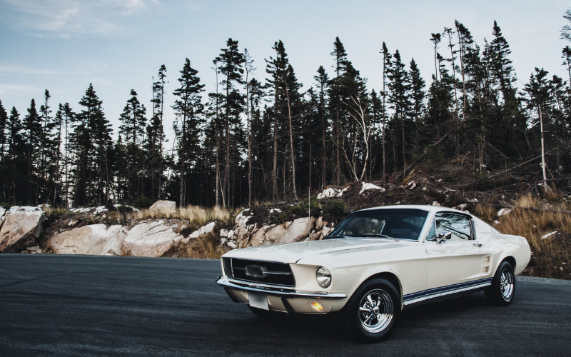 vintage muscle car parked in a mountainous area with trees growing 