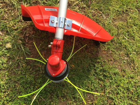 trimming head of a whipper snipper