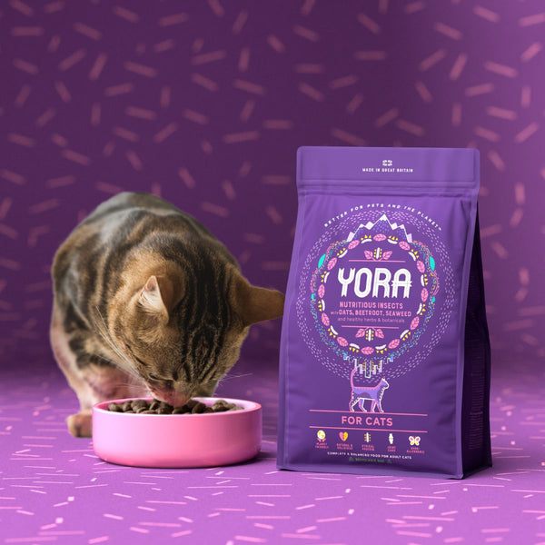 Yora Dry Cat Food - Happy Town Pets