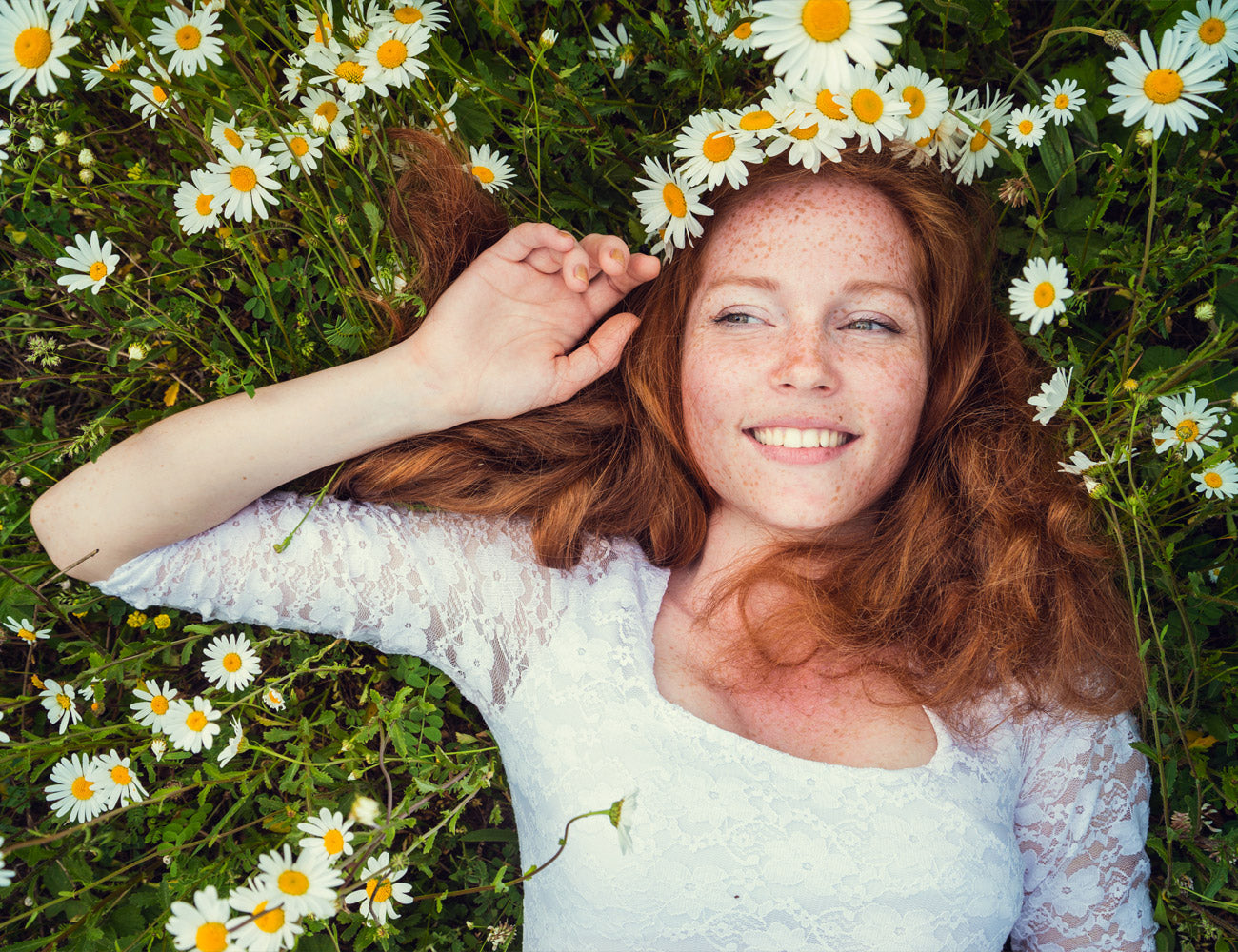 Camomile or Chamomile? That is the Question