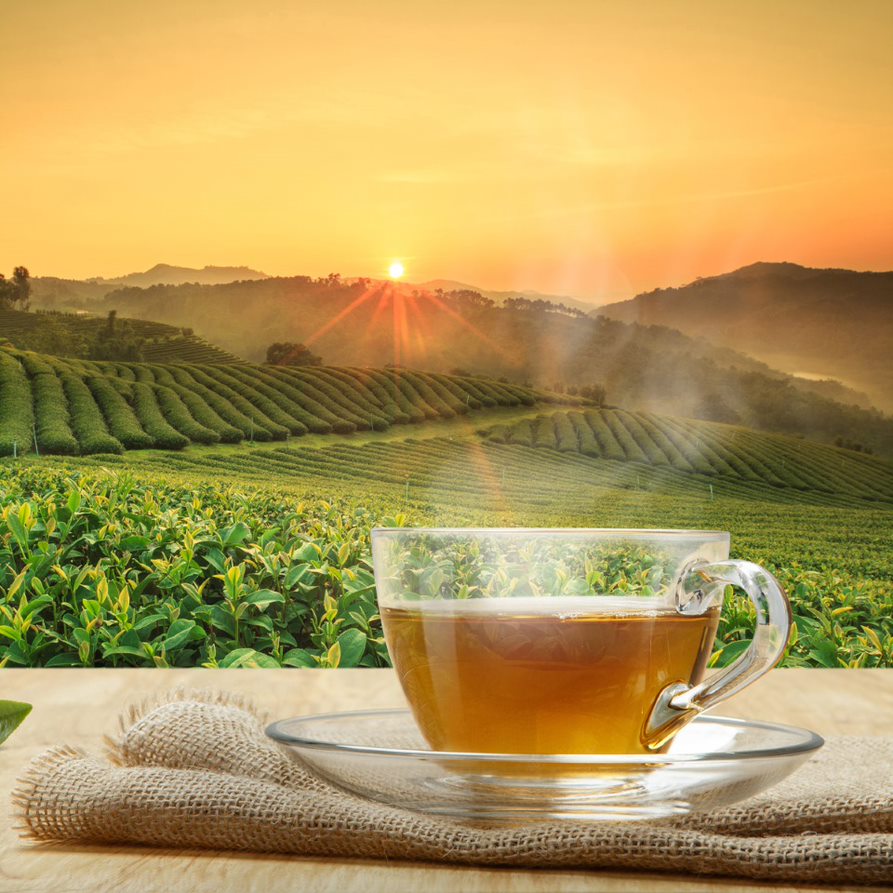 What Is a Tea Origin?