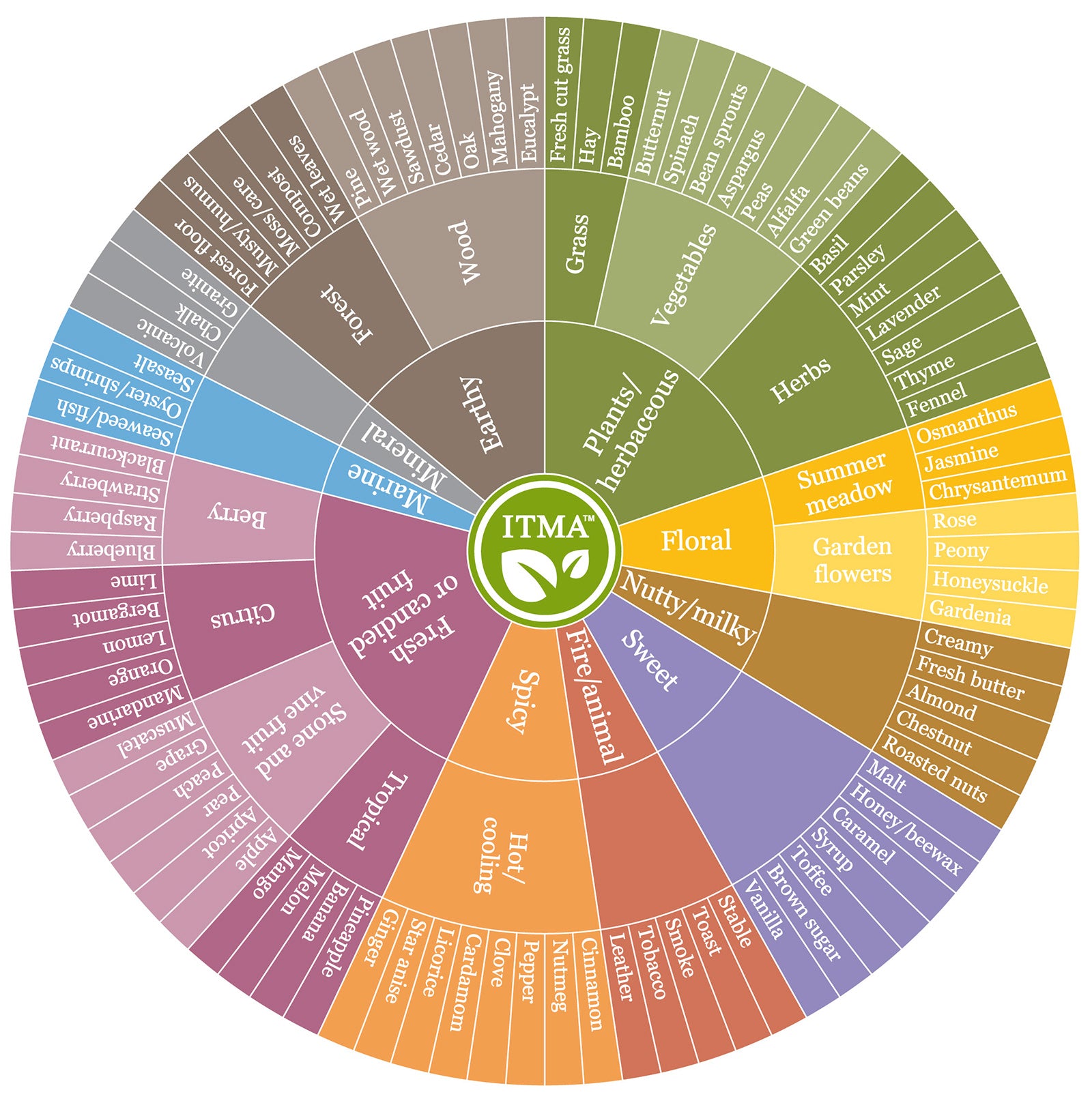 International Tea Masters Association Tea Aroma Wheel