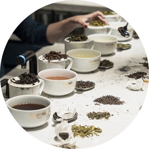 Twinings Classic Tea Masterclass