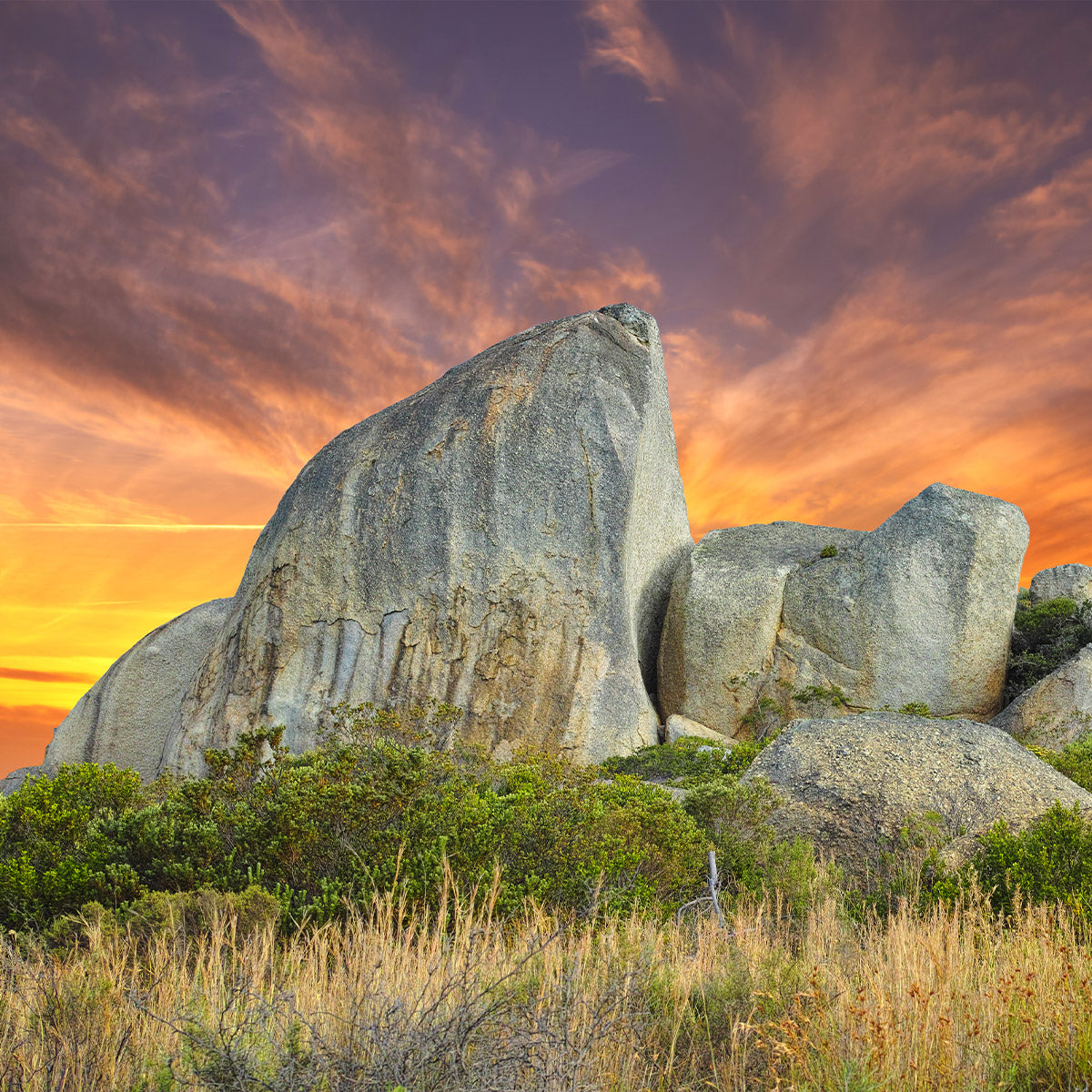 Western Cape province of South Africa