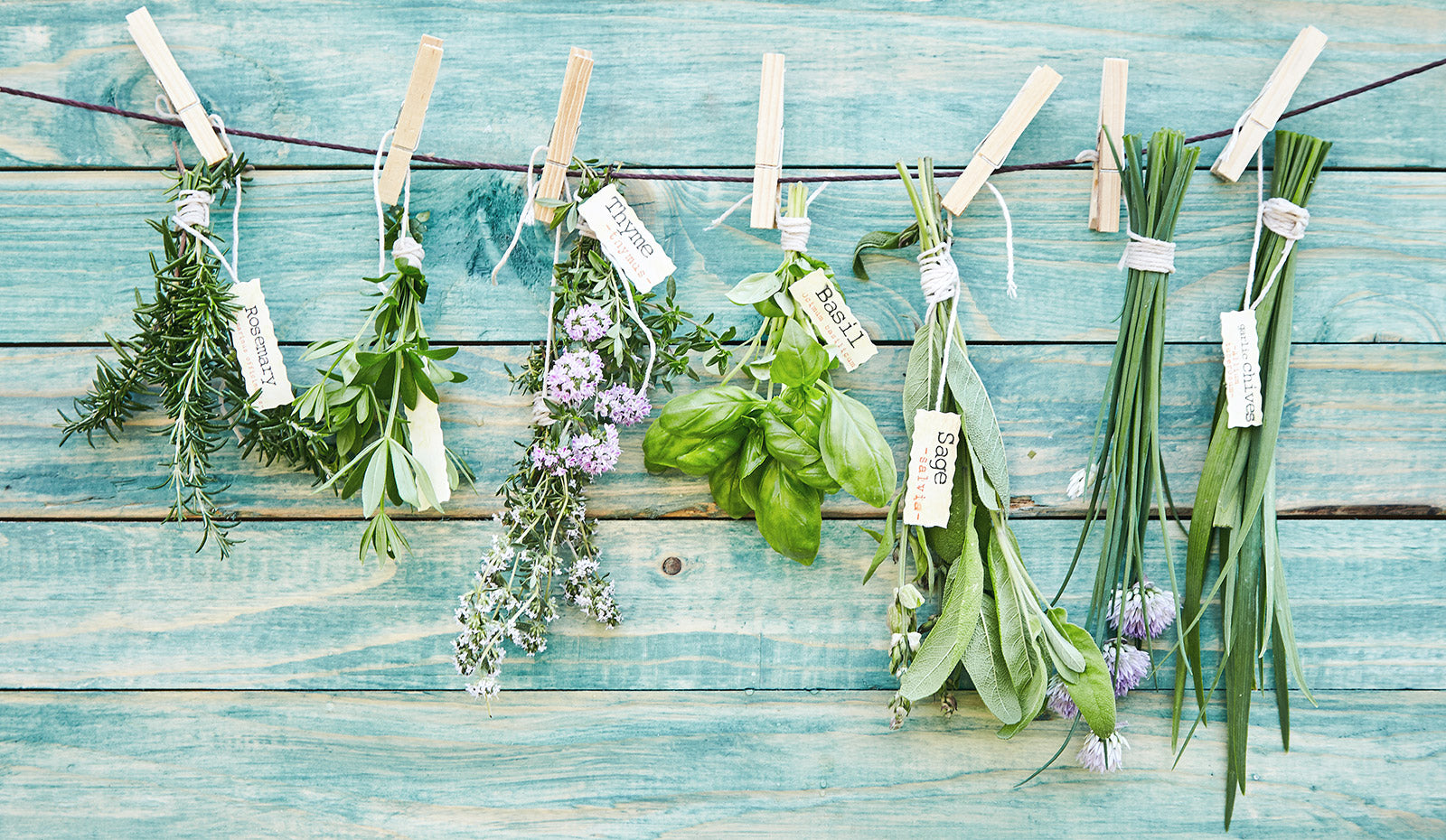 Which herbs are easiest to grow