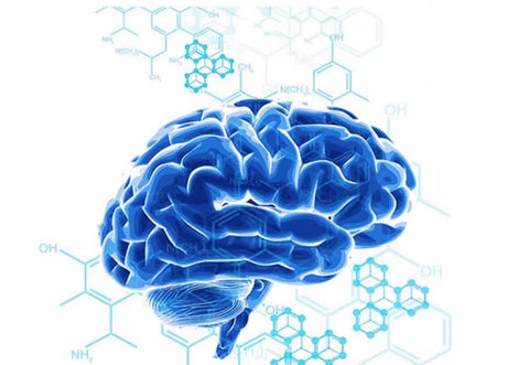 ESTHELIV Memory Support  PQQ with Phosphatidylserine Capsule