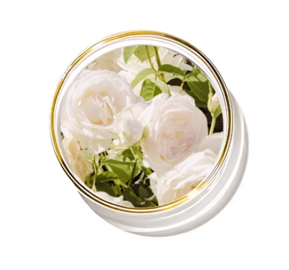 ALBA GRUPS Premium White Rose Essential Oil Capsules