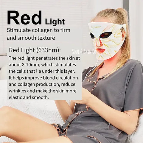 LAMOREVIA Led Face Mask