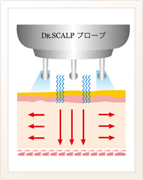 DR SCALP II Secand