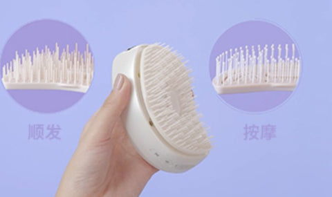 EFBE FCHOFF Hair Care Essential Oil Electric Massage Comb